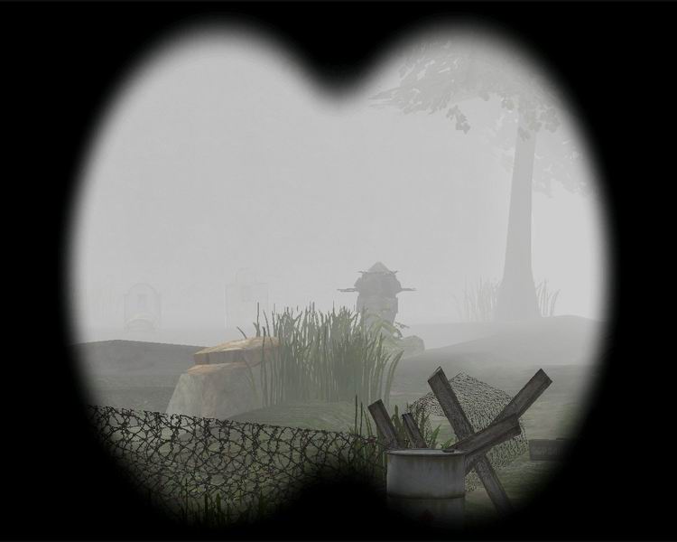 bugy_255.jpg